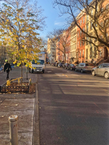 View of a street in New York during the month of October