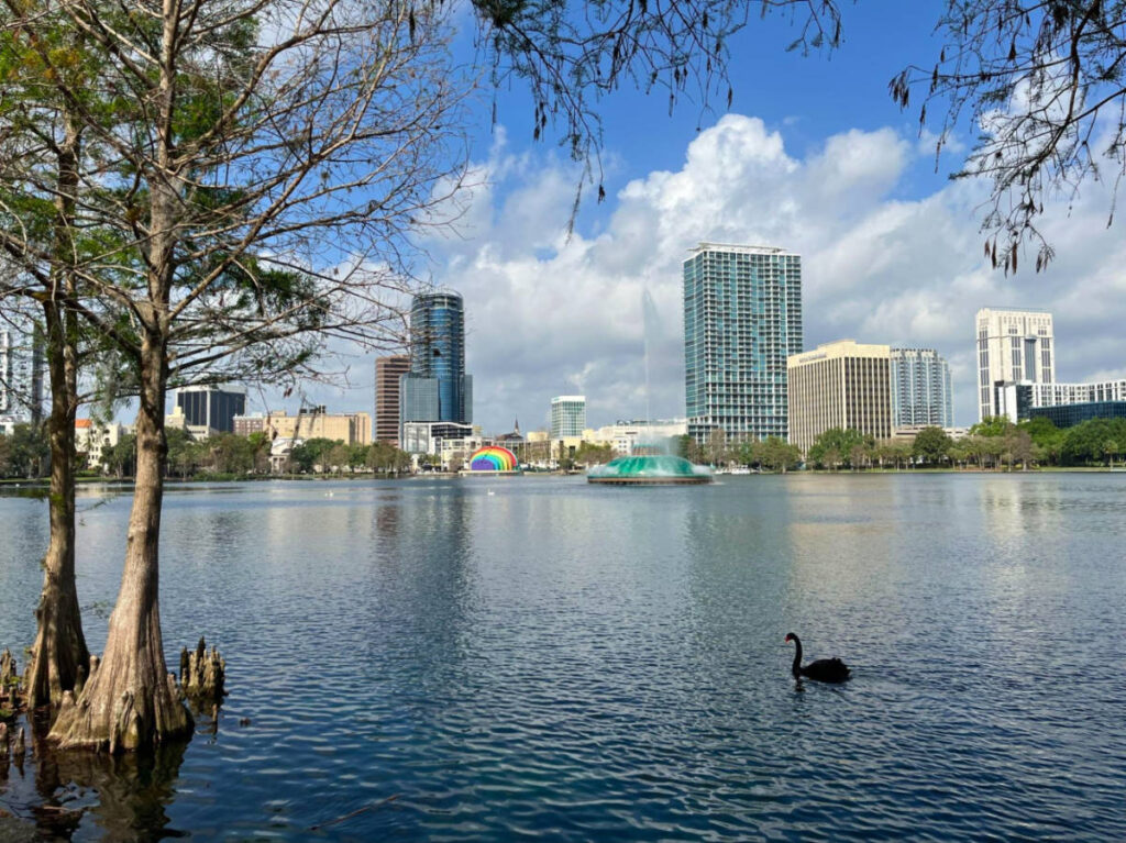 View of the Lake Eola Park featuring a swan and a city skyline in the background