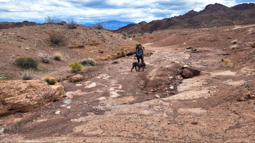 Abigail posing with her dog during their hike