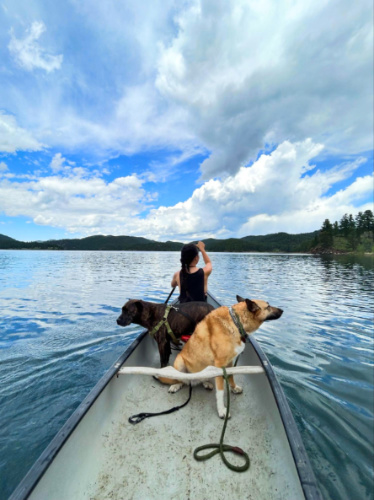 The author Abigail Bliss, canoeing with her dogs at Pactola Lake
