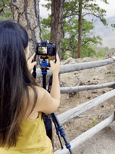 The author Abigail Bliss, maneuvering a panoramic shoot using the 3 Legged Thing Punks Corey 2.0 Tripod