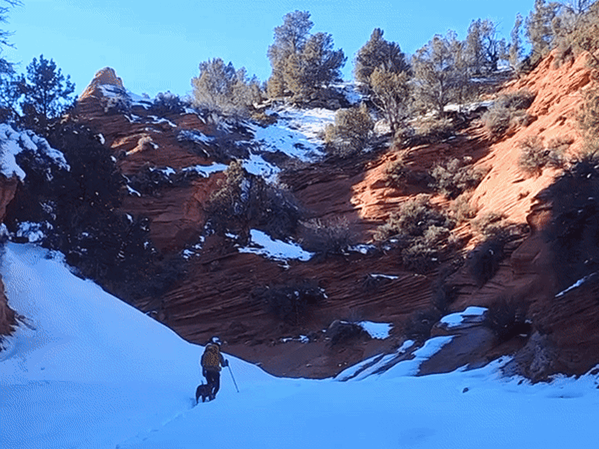 The author, Abigail, hiking with her dog in the snow covered landscape of Utah