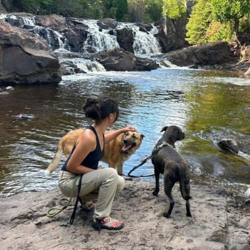 The author Abigail Bliss with her dogs near the waterfalls