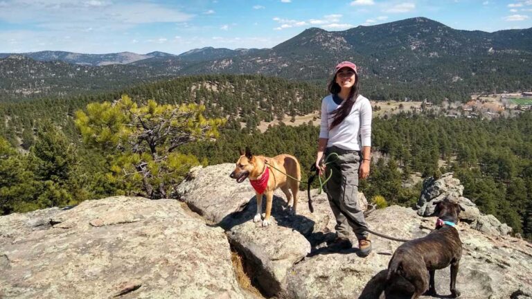 Abigail Bliss with her dogs at the summit of Evergreen Mountain