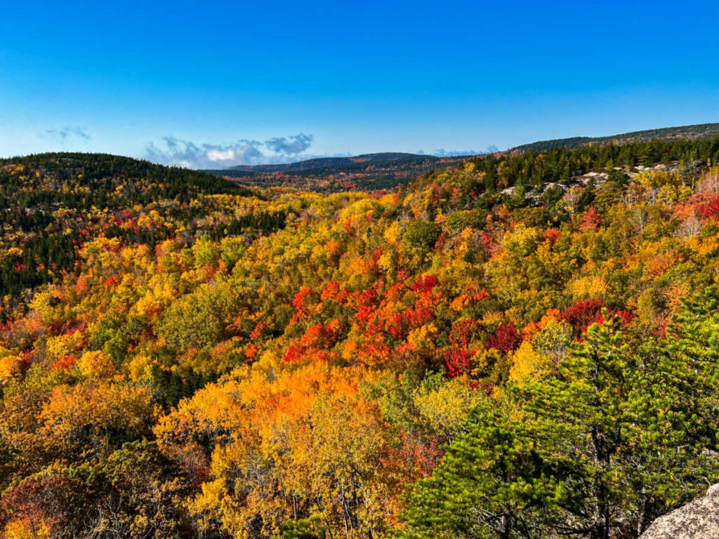 Aerial view of the Fall foliage in Acadia National Park