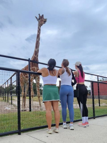 The author Niamh Hayes with her friends looking on a giraffe