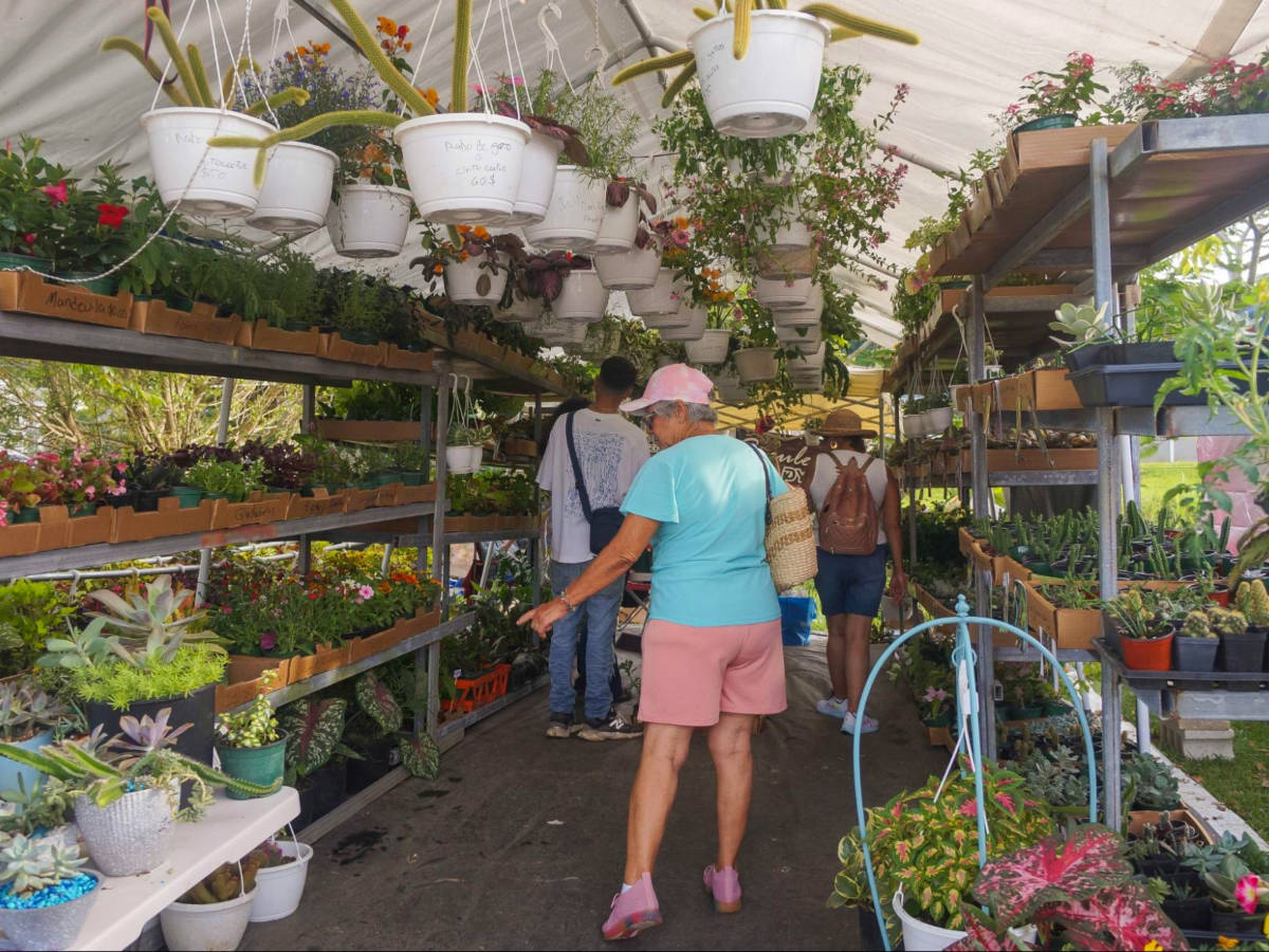 Visitors looking to buy flowers at the Aibonito Flower Festival