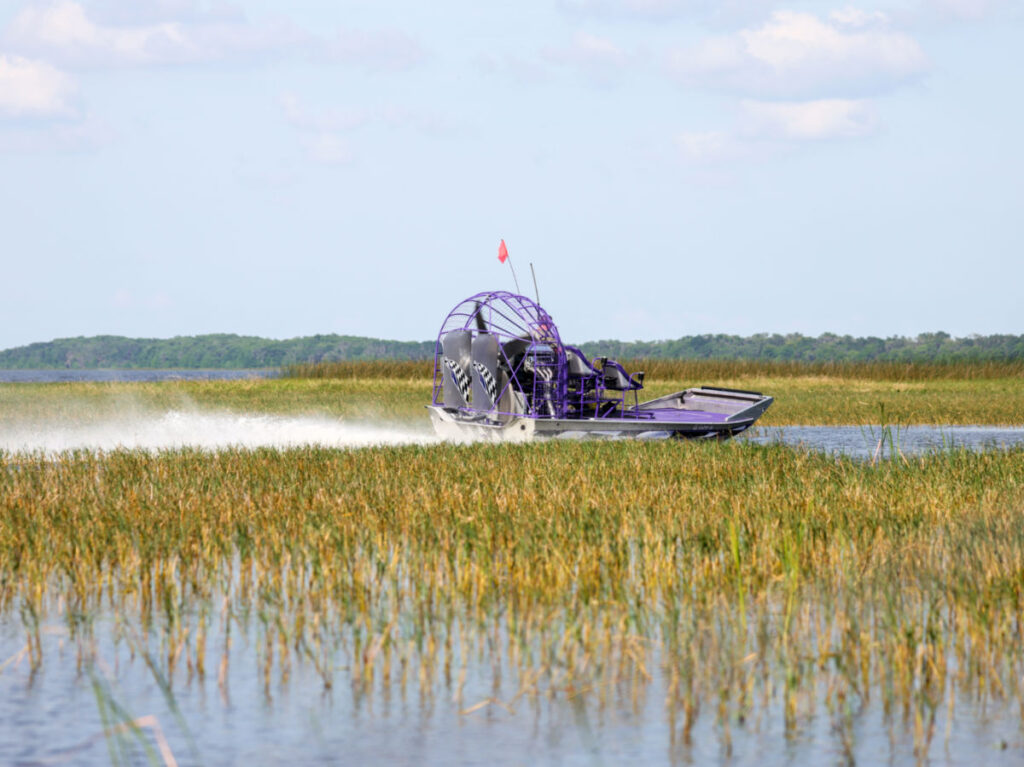 A purple airboat on the wetland at Lake Tohopekaliga