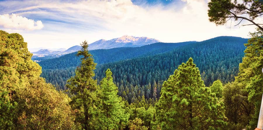 Picturesque view from the highest viewpoint of Ajusco Summit Trail