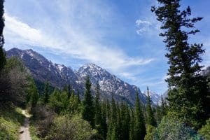 Panoramic view of the greenery around Ala Archa National Park