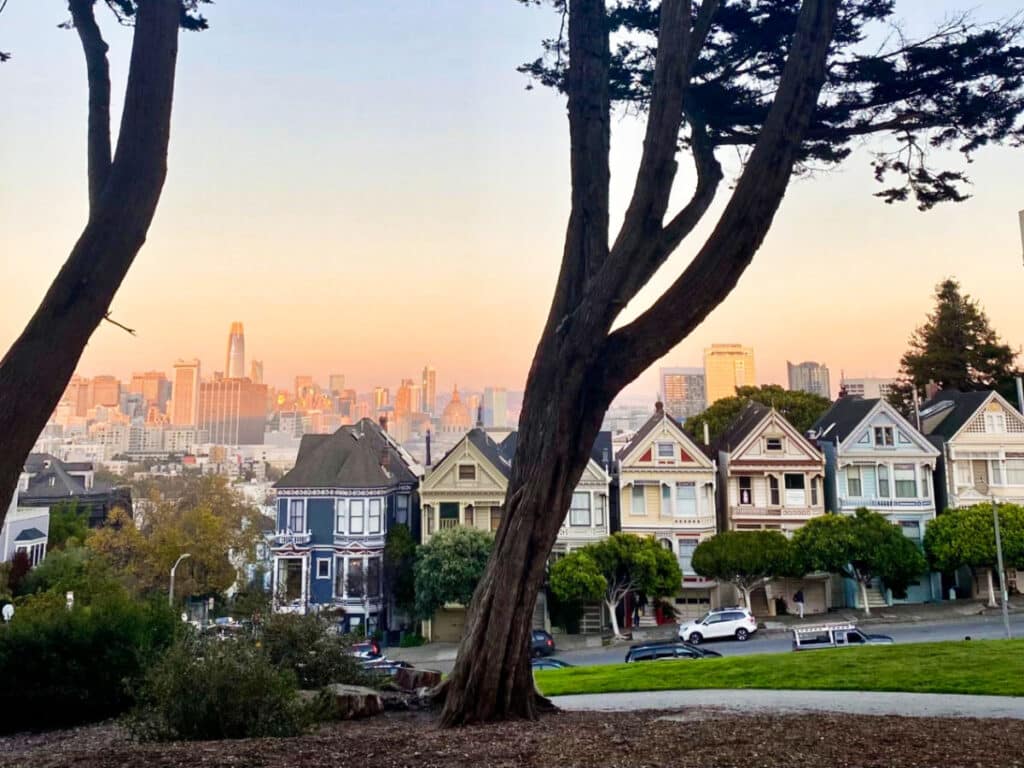 View of the colorful houses from Alamo Square Park at sunset