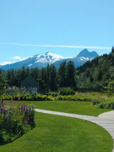 Scenic view at the Alaska Botanical Garden