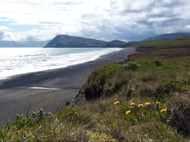 View of the calm ocean from the greenspace in Kodiak’s Pasagshak Beach
