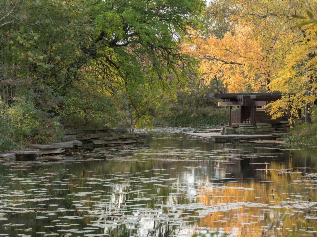 View at the Alfred Caldwell Lily Pool in Chicago
