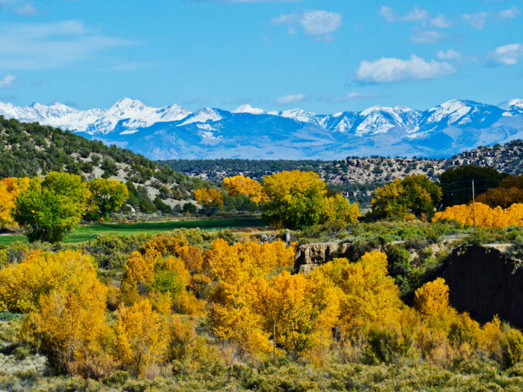 Blue sky over the Alkali Canyon near Cortez, Colorado