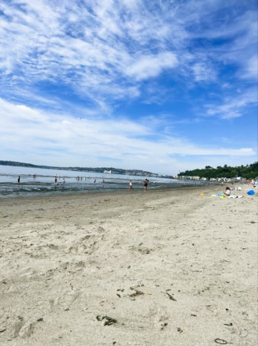 View of the shoreline of Alki Beach Park on a sunny day