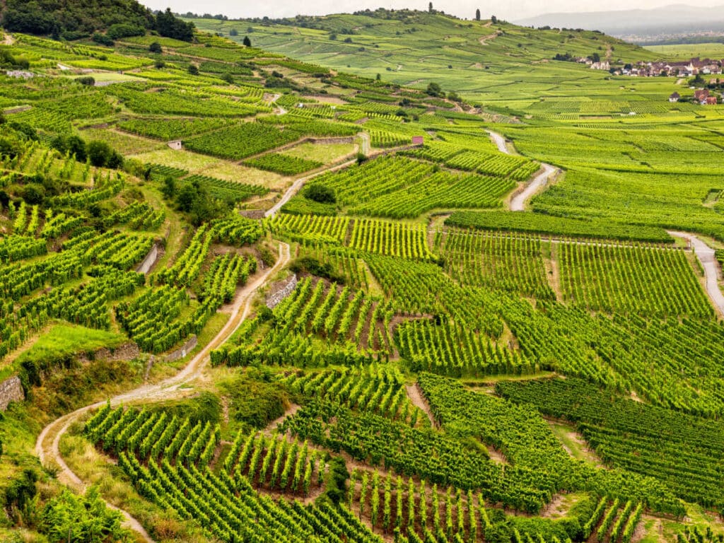 Aerial view of the Alsatian vineyards