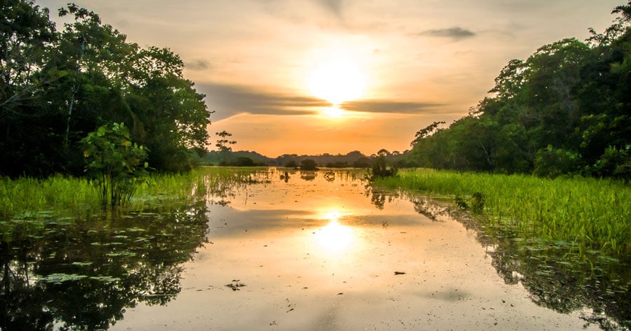 View of the river in Amazon Rainforest and the sunset