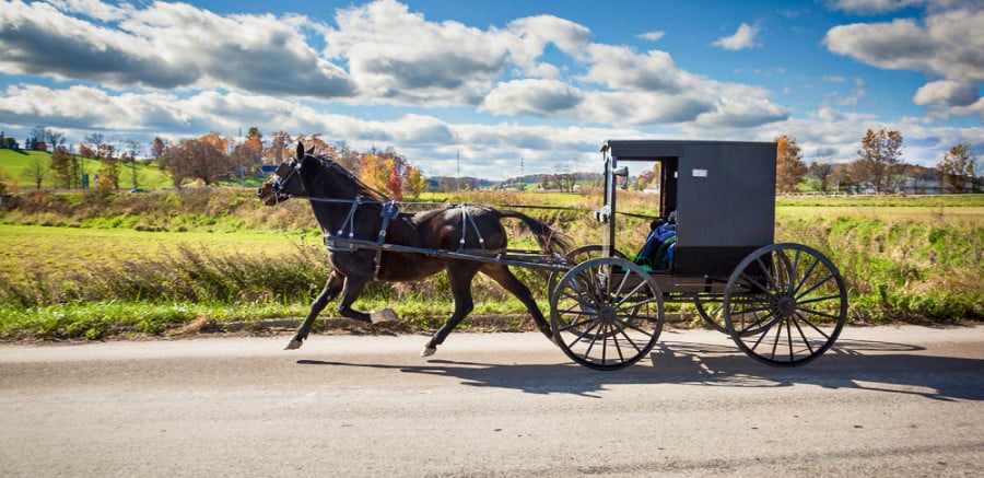 An Amish horse and buggy passing by a scenic view of Holmes County