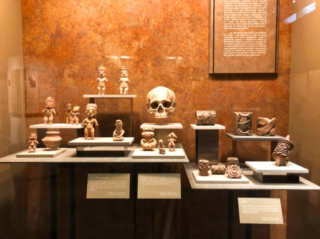 View of the Ancient Maya relics in the Museum of Anthropology