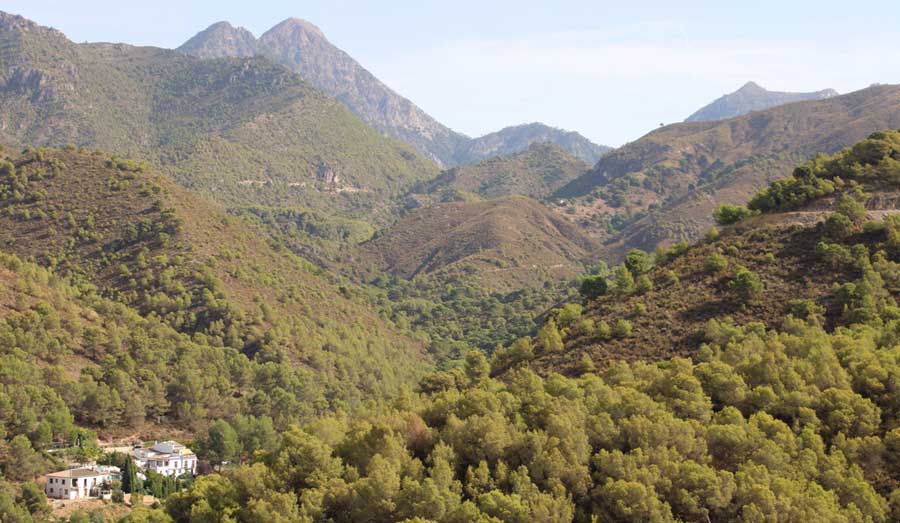 Overlooking view during a hike at the Andalusian region of Spain