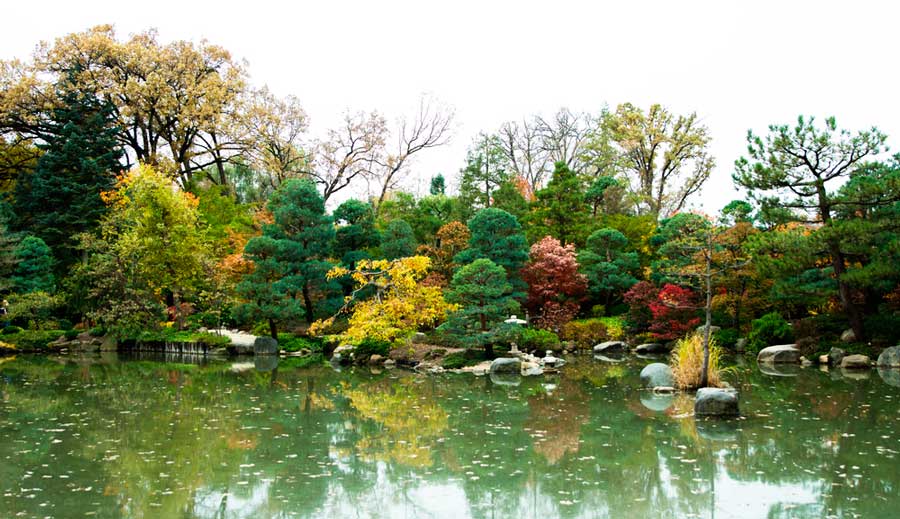 View of a pond in Anderson Japanese Gardens during fall season
