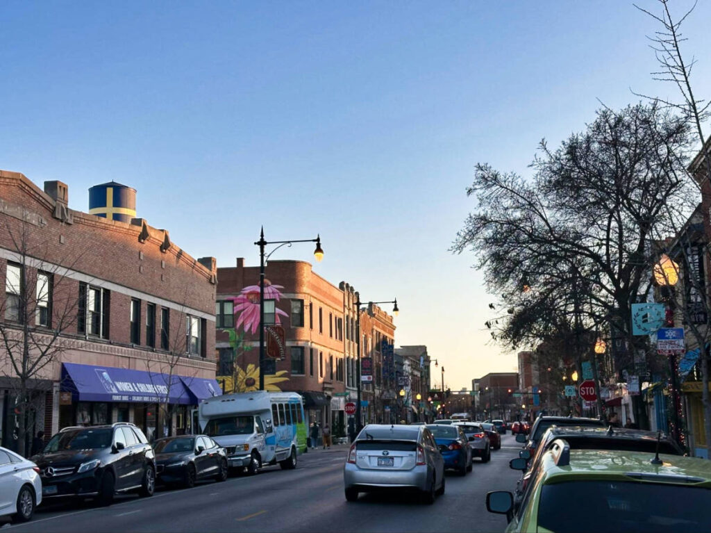 The shops along the streets of Andersonville