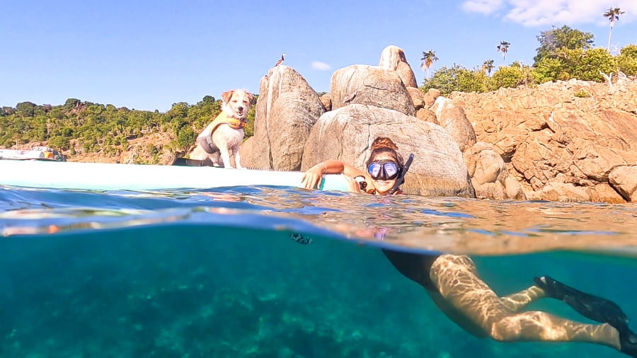 The author's wife swimming with snorkeling gear and a dog on the paddleboard