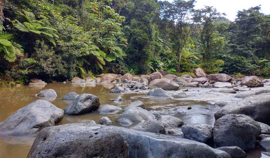 Boulders on the Mameyes River