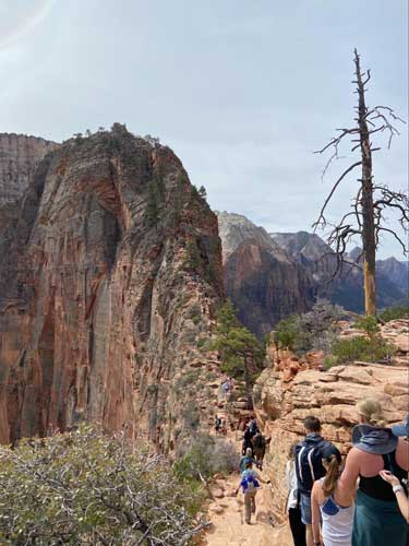 View of hikers at the Angels Landing
