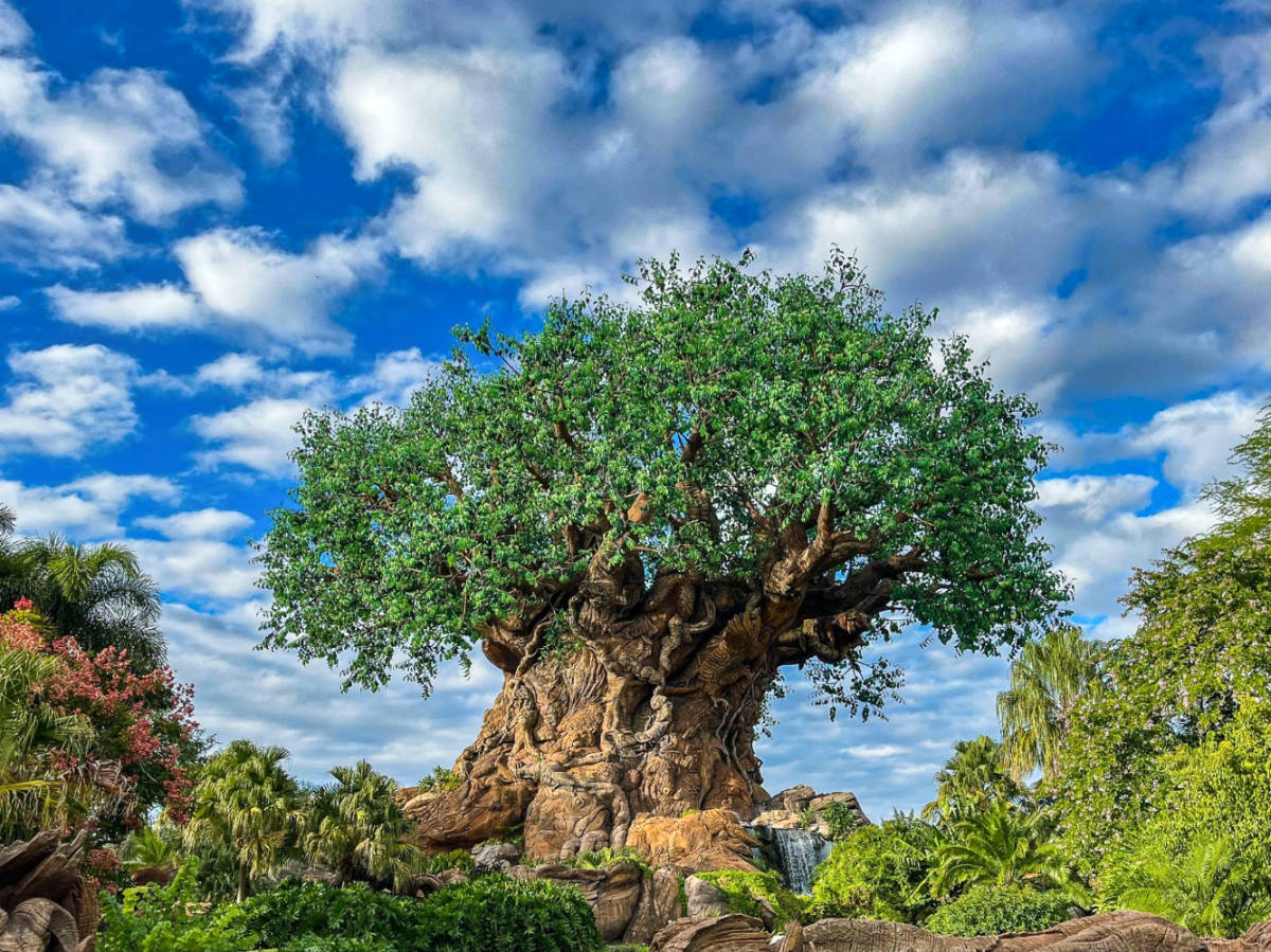 View of the Tree of Life inside the Animal Kingdom