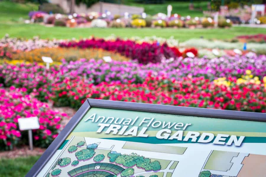 View of the colorful flowers behind the Annual Flower Trial Garden information sign