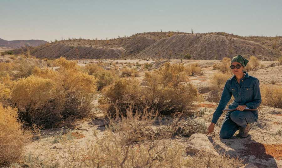 The author's friend posing for a photo in Anza Borrego Desert State Park