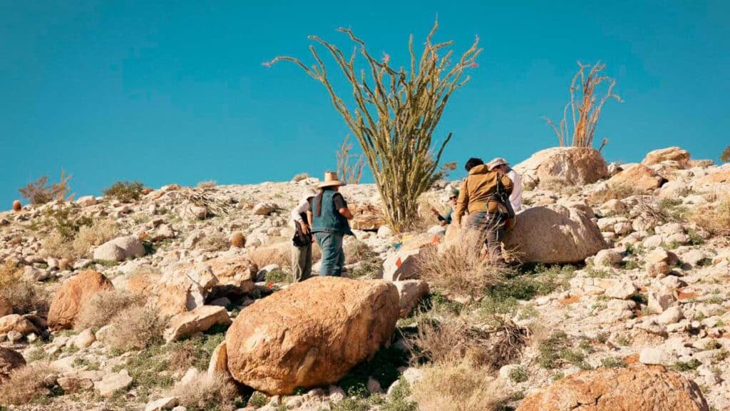 The author's friend during their visit in Anza Borrego Desert State Park