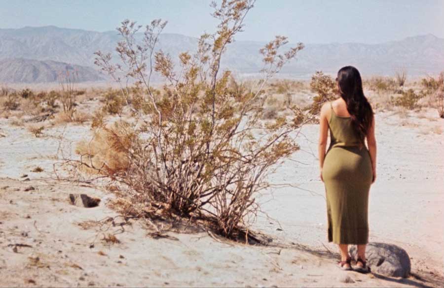 The author admiring the view in Anza-Borrego Desert State Park