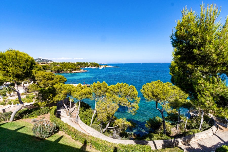 Beautiful landscape surrounded by trees and ocean view from Aparthotel Ponent Mar