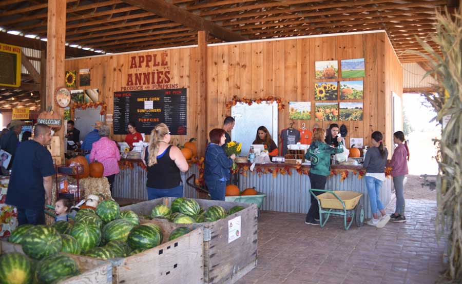 People inside the Apple Annies store in Wilcox