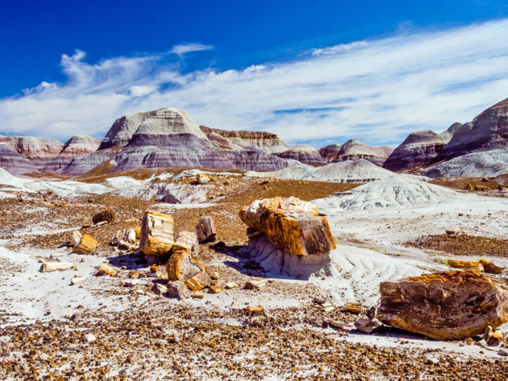 View of the colorful petrified wood at the Petrified Forest National Park in Arizona