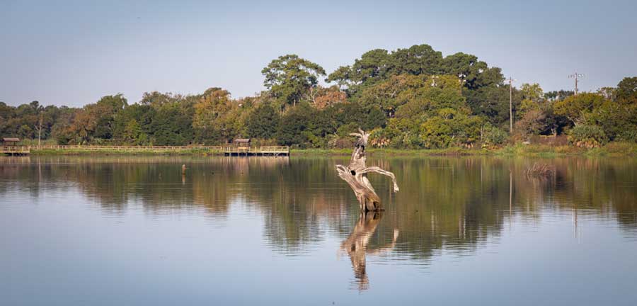 View of the lake in Armand Bayou Nature Center