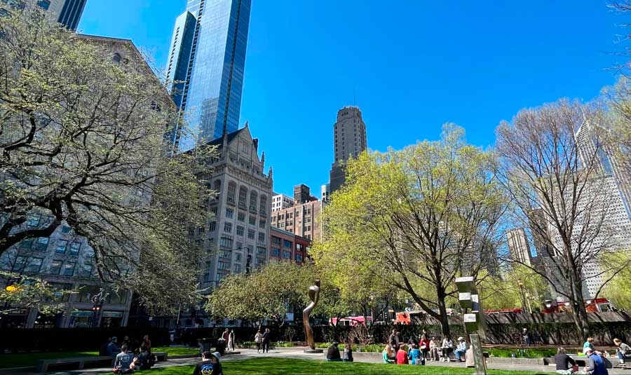 People enjoying their day during a sunny morning in Art Institute’s North Garden