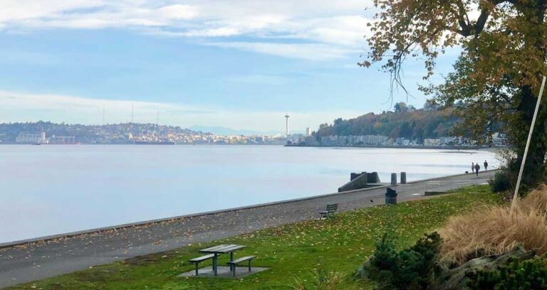 A serene park bench located next to the waters of Alki Beach Park