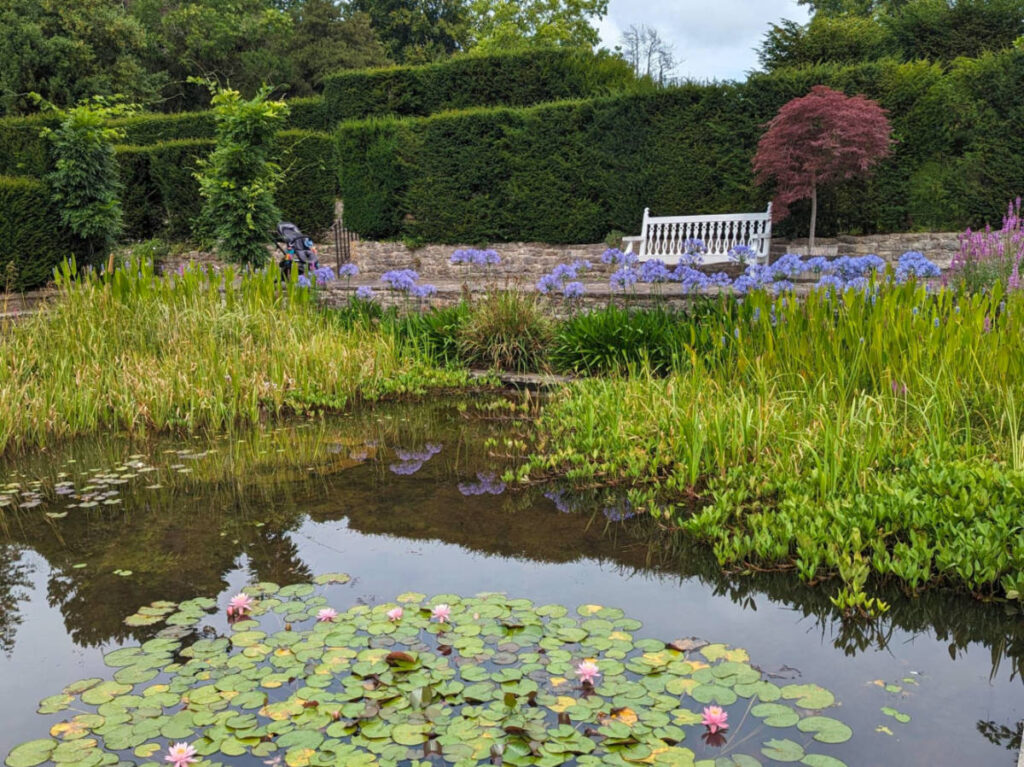 A bench surrounded by greeneries at Dyffryn Gardens