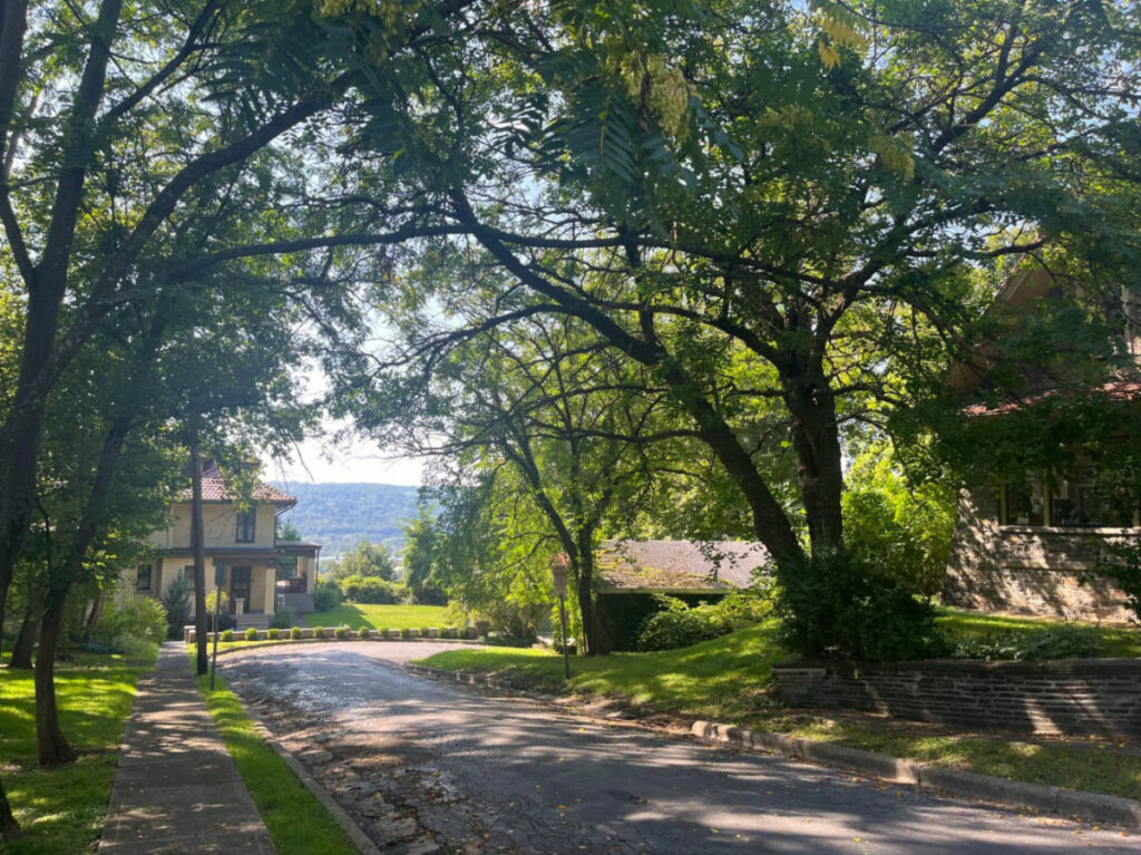 A serene view of a tree-lined street at Ithaca College