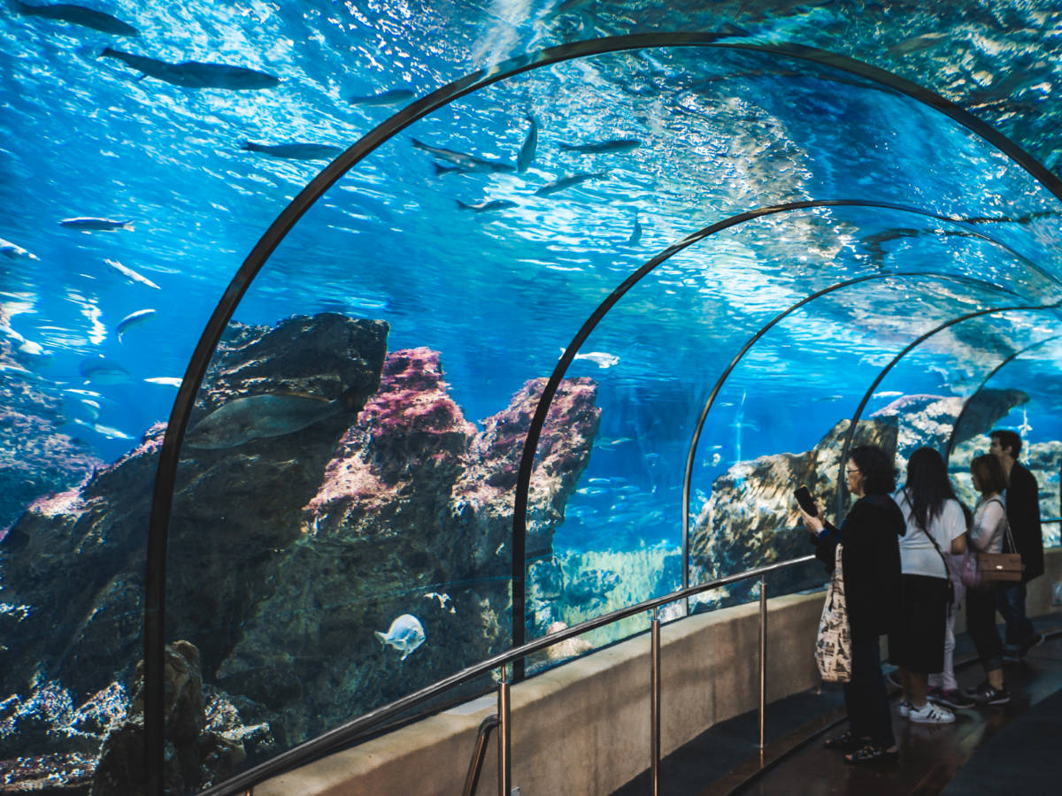 Tourists admiring the fishes at L’Aquarium Barcelona