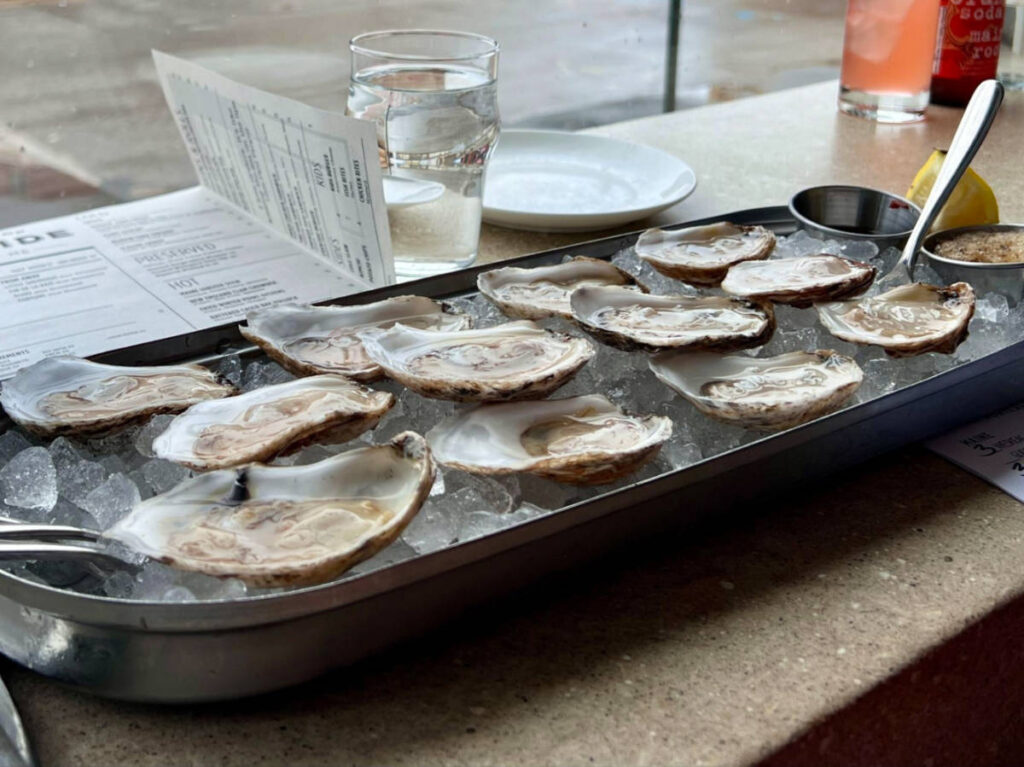 Delicious oysters served at Oyster Club