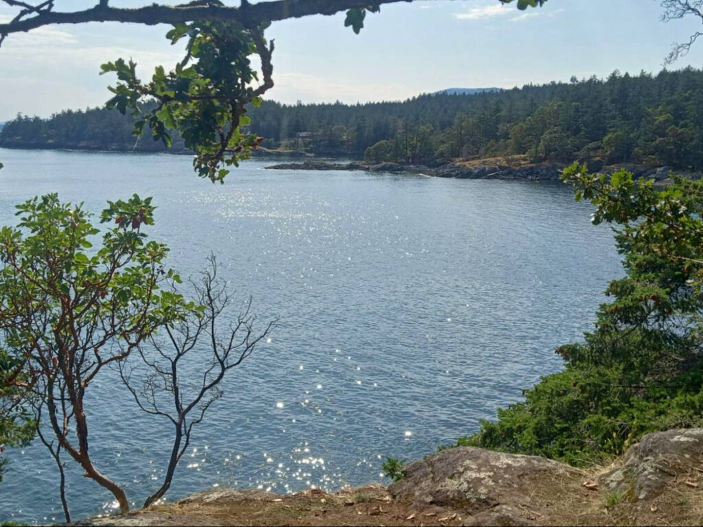 Sea and forest views are all around Ruckle Provincial Park