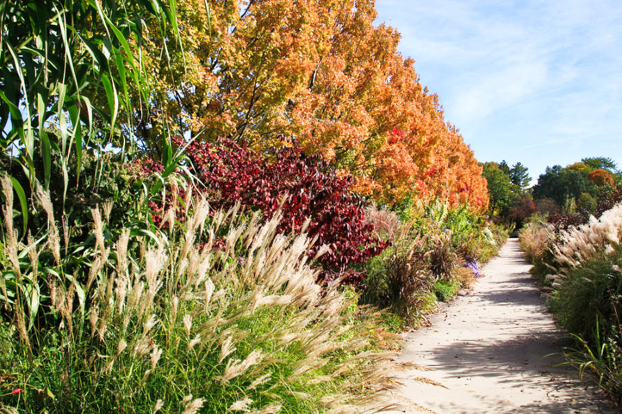 View of the fall foliage in Ault Park