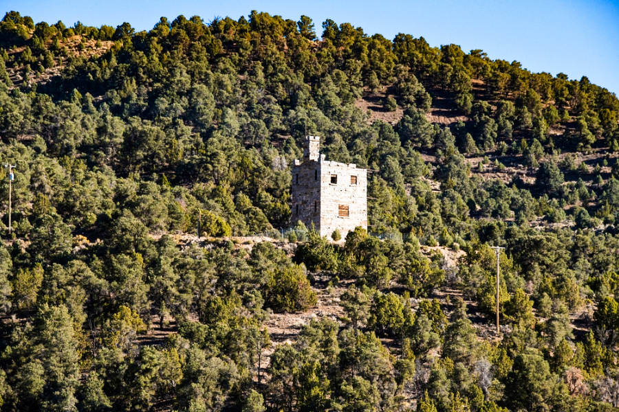 View of the Stokes Castle surrounded with lush green trees seen from the distance