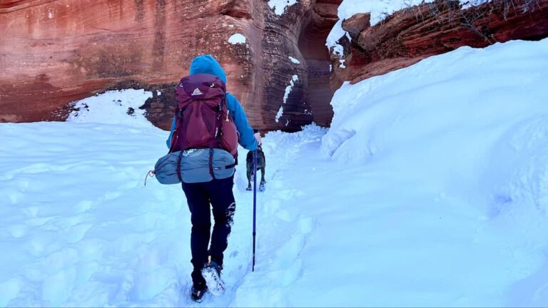Author Abigail hiking through a snow-covered trail