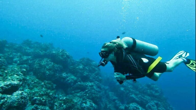 The author Ashleigh Bandimere diving at the Catalina Islands